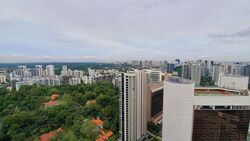 The Scotts Tower (D9), Condominium #418878781